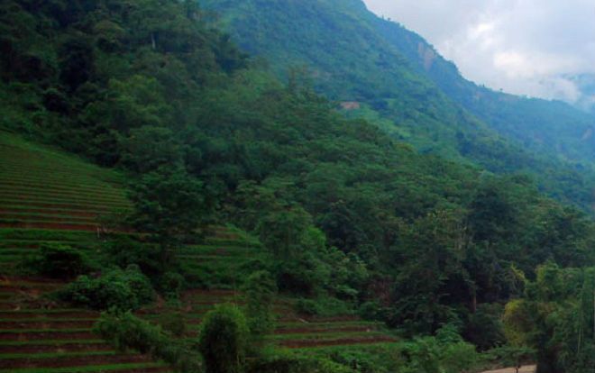 Đi chăn trâu cùng em trai, thiếu nữ trượt chân rơi xuống khe suối bị dòng lũ cuốn trôi
