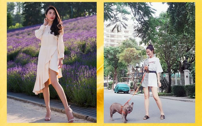 Đông Nhi diện cây hàng hiệu chỉ để dắt cún đi dạo, gái 1 con Thủy Tiên cứ xuất hiện lại được khen trầm trồ