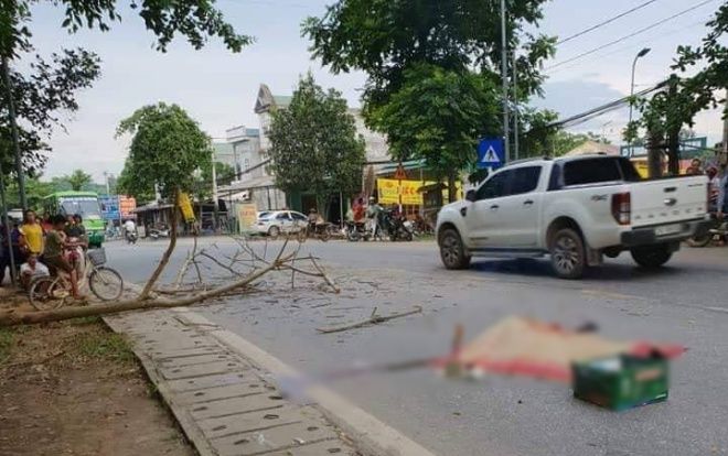 Xót xa cặp vợ chồng sắp cưới bị cành cây gãy rơi xuống đè trúng gây thương vong