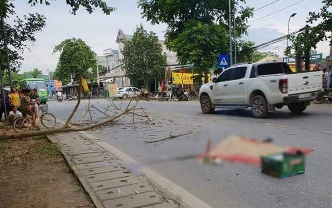 Vụ đôi nam nữ sắp cưới thương vong vì cành cây rơi trúng: Cô gái đang mang thai 5 tuần về ra mắt gia đình thì gặp nạn