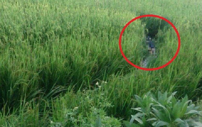 Giăng điện bẫy chuột, người đàn ông dính bẫy bị giật tử vong