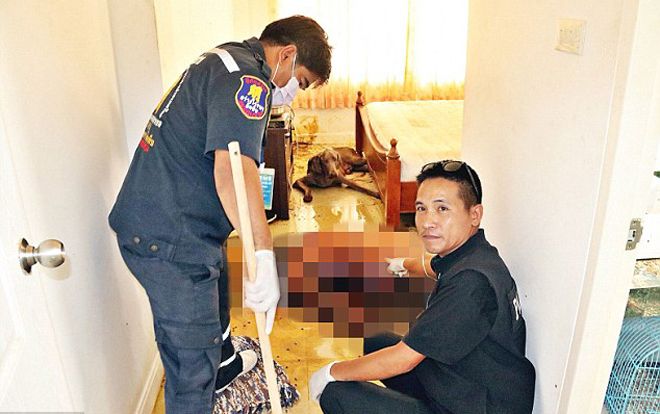 Phát hiện thi thể chủ bị chó cưng ăn thịt nửa người tại nhà riêng