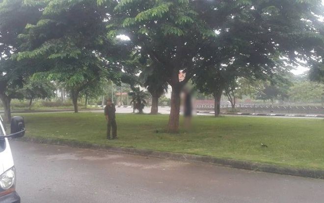 Phát hiện thanh niên tử vong trong trạng thái treo cổ trên cây