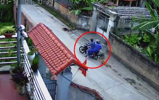 Clip gây phẫn nộ: 2 thanh niên quăng thòng lọng trộm chó ngay trước của nhà trong nháy mắt