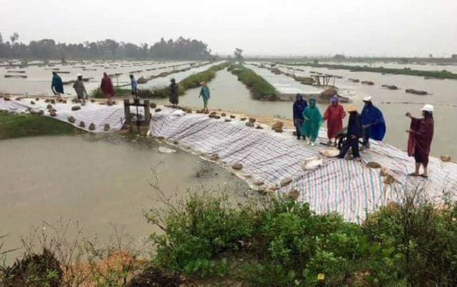 Lo ngại bão Sơn Tinh càn quét - Khẩn trương di dời hàng nghìn hộ dân ven biển Nghệ An, Hà Tĩnh