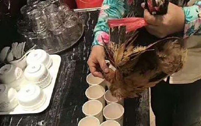 Nhân viên công ty Trung Quốc bị tố uống máu gà để mừng công