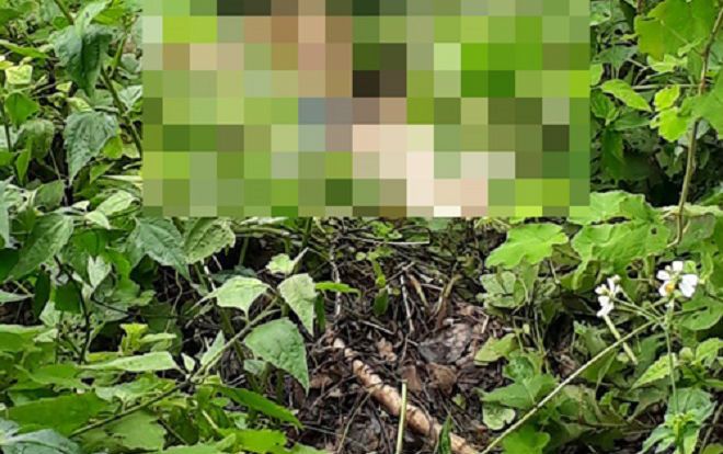 Tá hỏa phát hiện thi thể người đàn ông xăm trổ đang phân hủy trong rừng