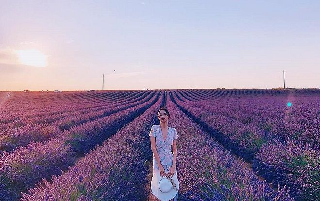 Hương Giang đẹp tựa nữ thần khi đứng giữa thiên đường hoa Lavender nổi danh nước Pháp!