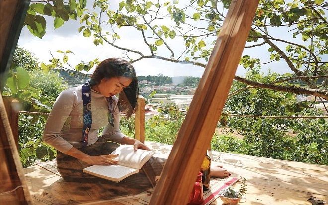 Những ngôi nhà cây độc đáo nhất Việt Nam