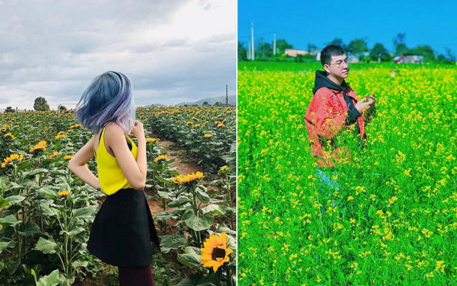 Xuất hiện vườn hoa bốn mùa 'xanh đỏ tím vàng', lãng mạn như xứ Hàn tại Đà Lạt