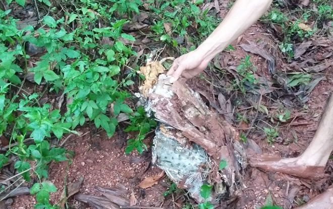 Đã tìm thấy hộp đen của máy bay Su-22 rơi ở Nghệ An