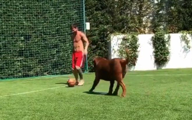 Clip: Messi ‘làm xiếc’ với trái bóng khiến chú chó cũng bất lực