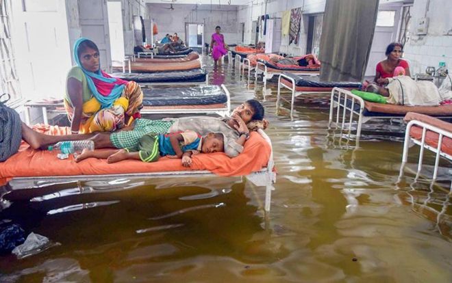 Mưa lớn làm nước ngập lênh láng, cá bơi tràn cả vào bệnh viện