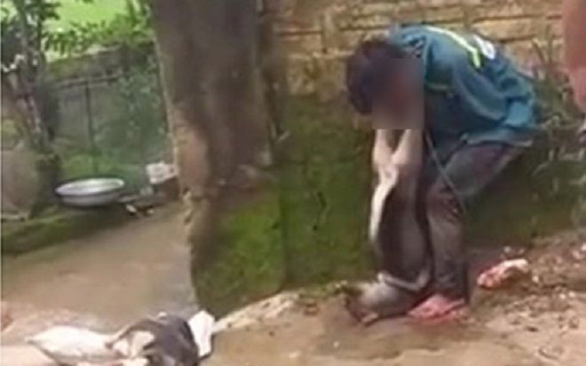 Trộm chó, thanh niên bị người dân bắt trói đánh đập và treo chó lên cổ