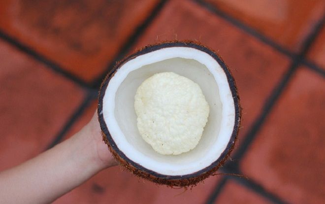 Mộng dừa là gì mà tận 300k/kg, muốn mua cũng không hề dễ?