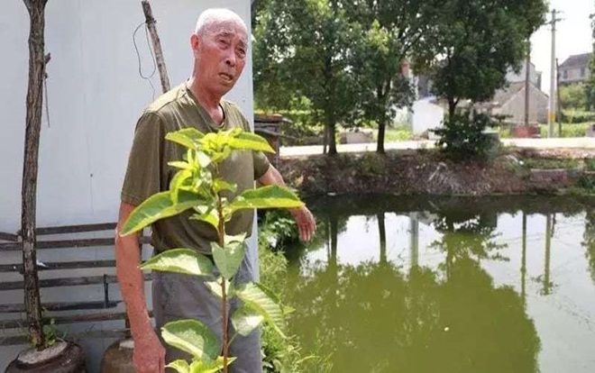 Cứu sống bé trai bị đuối nước, cụ ông phát hiện điều bất ngờ