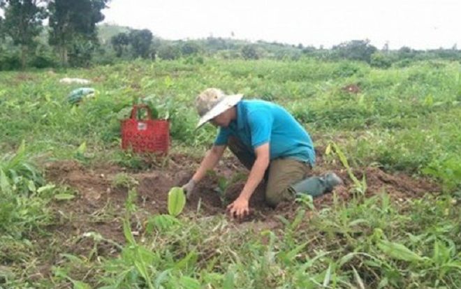 Vụ 550 giáo viên bị chấm dứt hợp đồng: Nỗi lo 'cơm áo gạo tiền' đè nặng