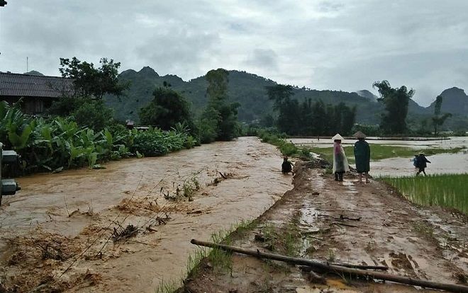 Bão số 4 vào đến đảo Bạch Long Vĩ, các tỉnh đồng loạt cấm biển, di dời hơn 17.000 người