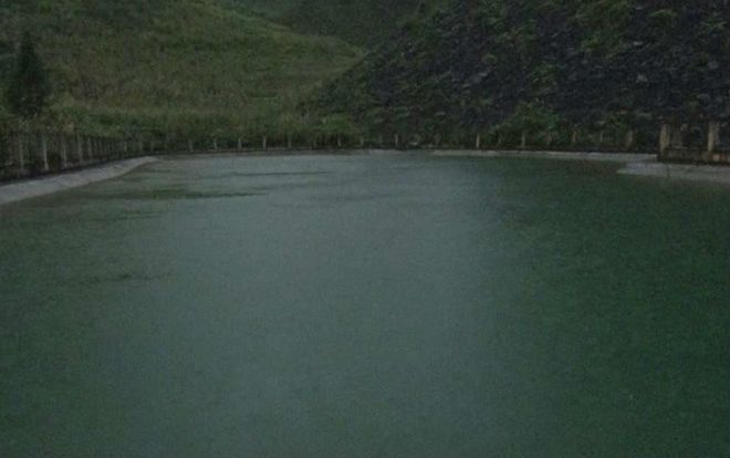 Vợ cùng chồng lao xuống nước giải cứu 2 học sinh, nào ngờ cả 4 người cùng đuối nước thương tâm