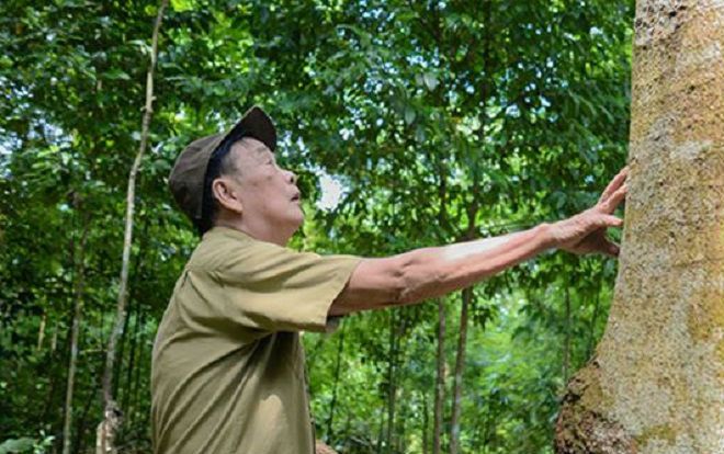 Ông chủ sở hữu rừng gỗ quý trăm tuổi hàng chục tỷ đồng quyết không bán