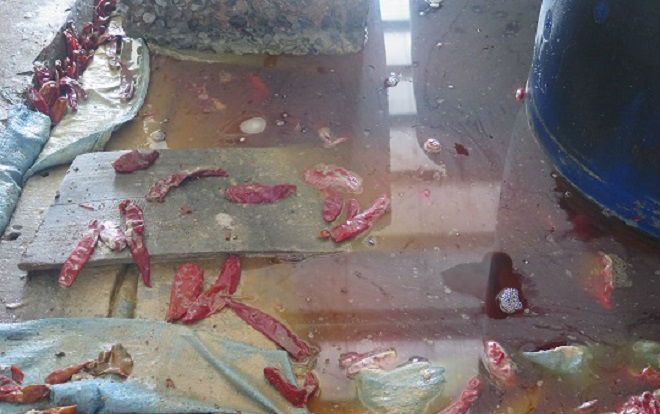 Phát hiện cơ sở sản xuất ớt muối mất vệ sinh, có xác côn trùng trong bể ngâm