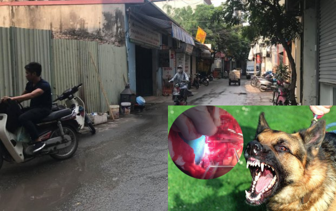 Vụ người đàn ông bị chó bécgiê của em vợ tấn công tử vong: Chủ chó có thể bị phạt tù tới 5 năm