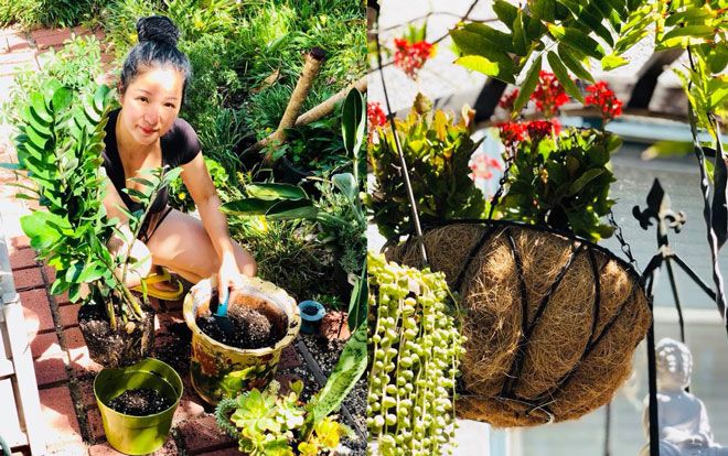 Không chỉ toàn cây trái, vườn của Thúy Nga còn đẹp hút hồn nhờ điều này