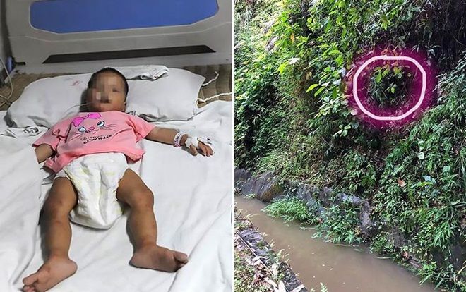 Bé gái 1 tuổi sống sót kỳ diệu sau 5 ngày lạc trong rừng