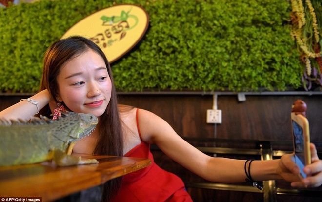 Giới trẻ Campuchia bị hút hồn với quán cà phê bò sát