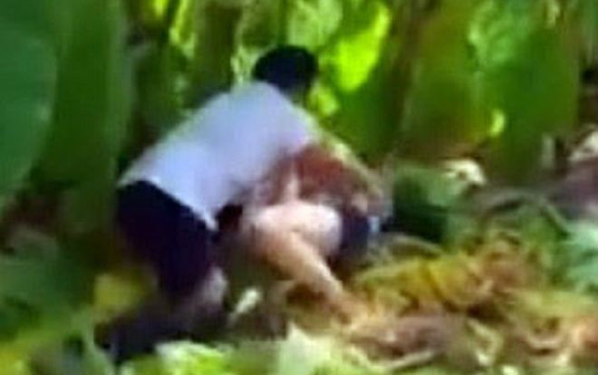 Bị dụ dỗ nhận 50.000 đồng, bé gái đồng ý làm chuyện 'người lớn' với gã mua chuối dẫn đến mang thai