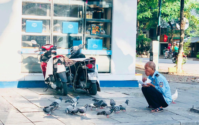Xúc động với hình ảnh chú bảo vệ chia đồ ăn cho đàn chim bồ câu ở vỉa hè Hà Nội