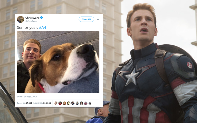 'Avengers 4': Từ bức ảnh mới đăng, Chris Evans ngầm tiết lộ rằng chắc chắn anh sẽ trở lại hình ảnh đội trưởng Mỹ ban đầu!