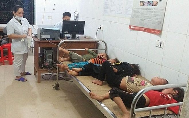 7 người trong một gia đình bị ong rừng đốt nhập viện