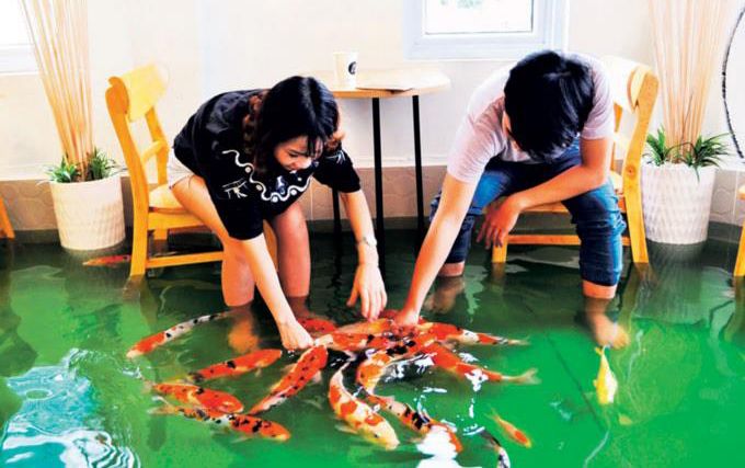 Quán cà phê 'cá rỉa chân' ở Sài Gòn trên báo Mỹ