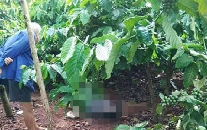 Đi thăm rẫy, tá hỏa phát hiện người đàn ông nằm tử vong dưới gốc cà phê