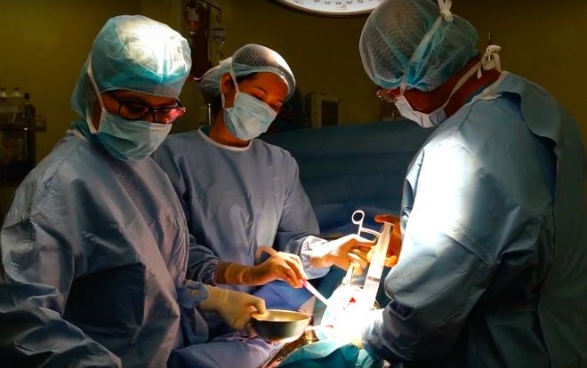 Theo giáo phái 'không cho truyền máu', người phụ nữ gãy hở hai xương cẳng chân bị nhiều bệnh viện từ chối phẫu thuật