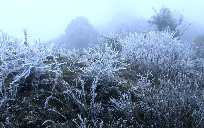 Mùa đông năm 2018 đến sớm hơn 5 năm trở lại đây, cảnh báo rét đậm rét hại nhiều hơn