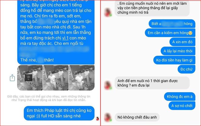 Cặp đôi vào khách sạn quỵt tiền phòng còn bế trộm mèo: Gia chủ tìm được facebook nhưng cô gái biện lý do 'em vẫn muốn nuôi'