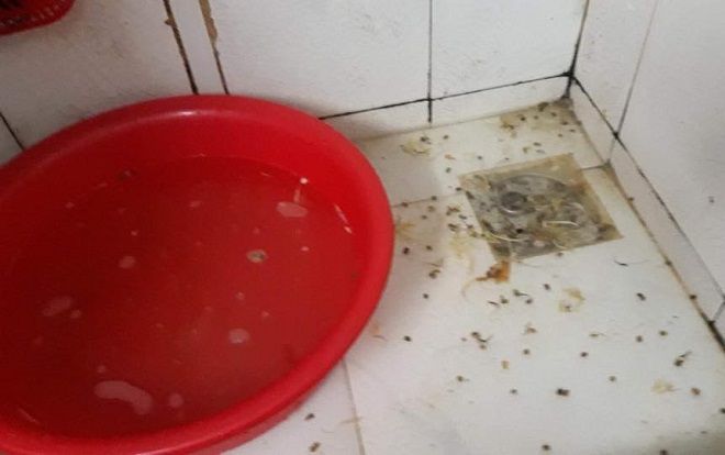 Ức chế vì bạn cùng phòng ở bẩn cô nàng đăng đàn xin cách trị, dân mạng phán: 'Đăng bản mặt lên đây cho khỏi lấy chồng'