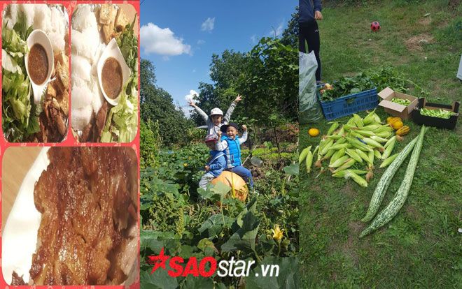 Thu hoạch từ ngô tới bí to hơn người, nhìn mà thích khu vườn của mẹ Việt ở CH Séc