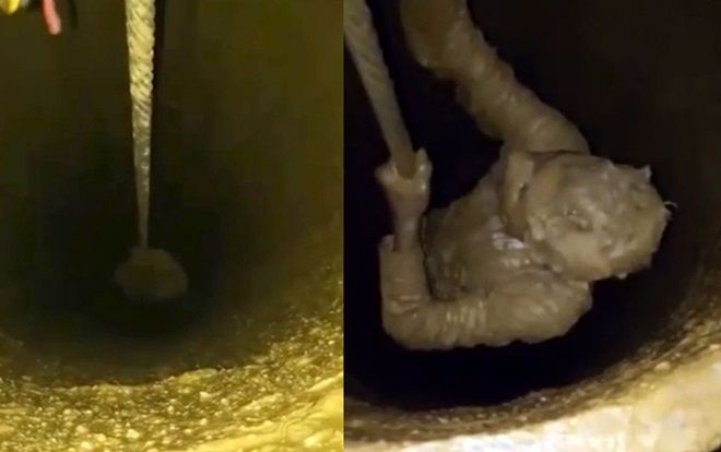 Đang đi bộ trên đường, bất ngờ rơi xuống hố bùn sâu 24 m