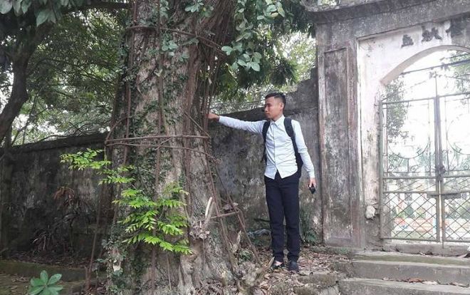 Chuyện ly kỳ về cây sưa được mặc áo giáp, người dân mất ăn mất ngủ thay nhau canh từng được định giá 100 tỉ đồng ở Hà Nội