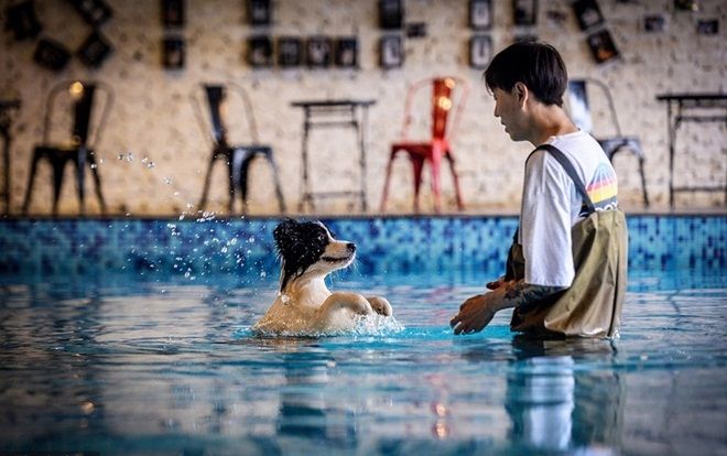 Mạnh tay chi hơn 11 tỷ xây biệt thự cho riêng chó cưng để trả ơn con vật