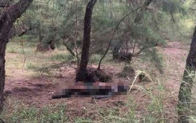 Lên núi tìm vợ, chồng tá hỏa phát hiện vợ tử vong với nhiều vết thương trên người