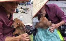 Góc khuất phía sau hình ảnh 'bà lão hôn tạm biệt cậu Vàng trước khi bán' gây sốt cộng đồng mạng