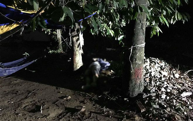 Phát hiện nam thanh niên chết bí ẩn dưới gốc cây ở ngoại ô Sài Gòn