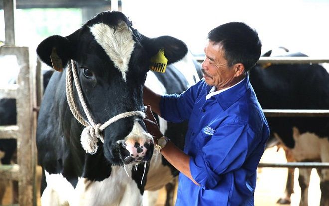 Sống trên đỉnh núi: Đẳng cấp 4.0, khối tiền 30 tỷ, Việt Nam có mấy ai