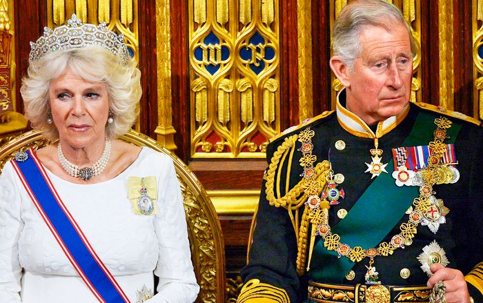 Cuộc tình đầy thị phi, nhận nhiều 'gạch đá' dư luận của Thái tử Charles và bà Camilla