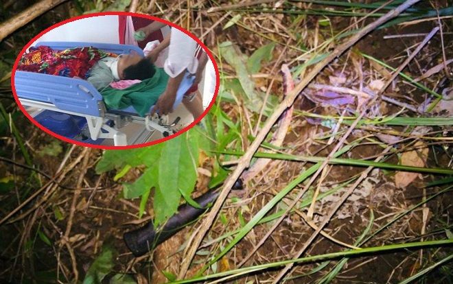 Thiếu niên 13 tuổi cưỡng hiếp rồi dùng dao cứa cổ bé gái đối diện án phạt nào?