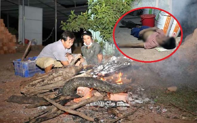 Thanh niên làm thuê nghi bị trăn nặng 24 kg siết cổ đến chết